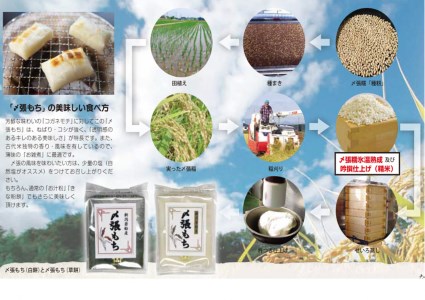 【令和7年産米】「〆張もち」と新潟県村上市 岩船産 コシヒカリ10kgセット　D4020