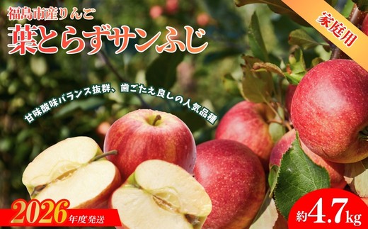 
                  No.1927ふくしまのりんご 葉取らずサンふじ ご家庭用　約4.7kg【2026年度発送】
                