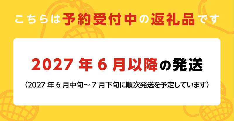 【2027年6月以降お届け】くるめで育った完熟マンゴー（3玉：約1kg）_贈答用 トロ～ッと口のなかでとろける くるめで育った 完熟マンゴー 甘い 子供も安心 フルーツ  果物 マンゴー 完熟 国産 