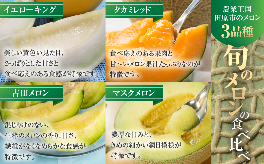 先行予約 渥美半島の恵み メロン 4回( イエローキング / タカミレッド / 古田メロン / マスクメロン) 定期便 果物 頒布会