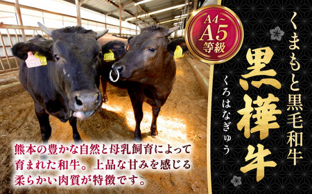 くまもと黒毛和牛 黒樺牛 A4〜A5等級 カルビ 焼肉用 約500g 黒毛和牛 カルビ焼肉[AYBJ032]