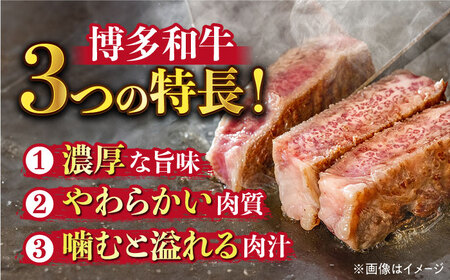 【溢れる肉汁と濃厚な旨味】博多和牛 サーロイン ステーキ セット 500g（250g×2枚）《築上町》【株式会社MEAT PLUS】 [ABBP013] 定番サーロインステーキ 人気サーロインステーキ