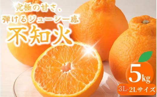 紀州田辺の 不知火 5kg 2L～3Lサイズ（2026年3月頃から順次発送予定） / デコポン でこぽん みかん 柑橘 和歌山 みかんランキング 果物 くだもの フルーツ 柑橘 産地直送 国産 和歌山 【tcs017-1】