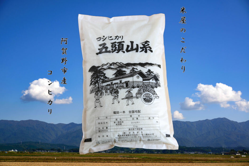 【ふるさと納税】【令和7年産新米】「米屋のこだわり阿賀野市産」コシヒカリ 10kg 新潟県 阿賀野市 五頭山系 米 白米 精米 かたぎり 9月中旬より順次発送
