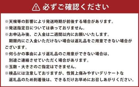 【先行予約】西見柿農園 富有柿 9玉から11玉 (約3kg) 【2026年11月上旬-12月上旬発送予定】 柿 かき カキ 果物 くだもの フルーツ 果実 ジューシー お取り寄せ 福岡県 うきは市