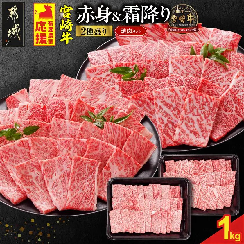 【ふるなびWEEK対象】牛肉 赤身＆霜降り 2種盛り 牛肉〔17-N2-002-1kg-S4A6-FN〕