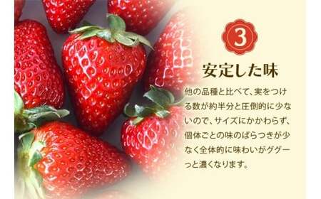 古都華　冷凍いちご　1kg  奈良県 葛城市【nsdf005】