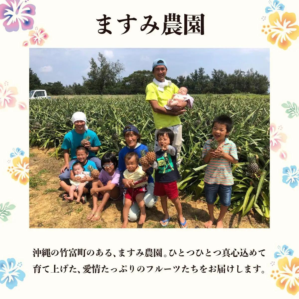 アップルマンゴー 約4kg 