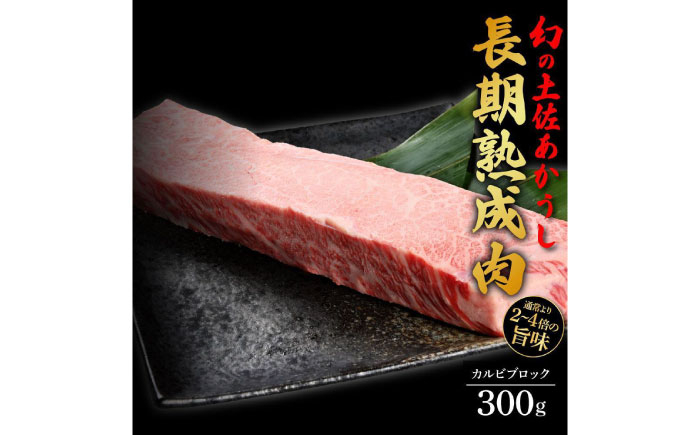 
            エイジング工法 熟成肉 土佐あかうし 特選カルビ ブロック 約300g 冷凍 【株式会社LATERAL】 [ATAY025]
          