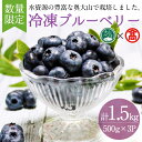 【ふるさと納税】＜数量限定＞冷凍ブルーベリー(500g×3P・計1.5kg) 鳥取県 ブルーベリー 果物 くだもの フルーツ 冷凍 大山【T-BI4】【大山ブランド会】