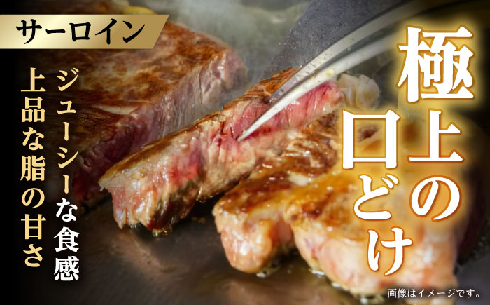 【二大高級部位！】サーロイン と ヒレ ステーキ 計700g (各2枚)  / 長崎和牛 A4～A5ランク 希少部位 / 諫早市 / 野中精肉店 [AHCW080]