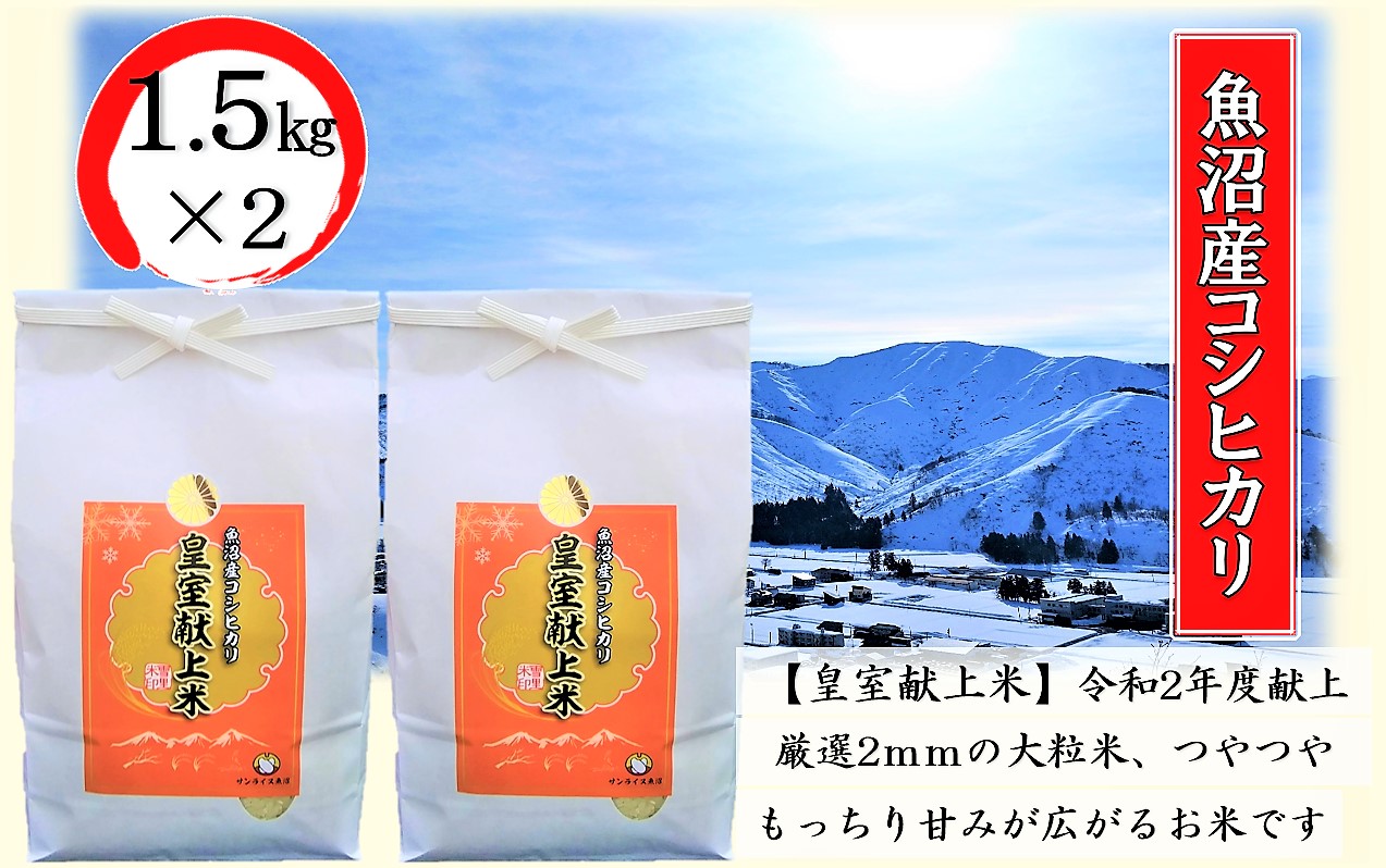 令和6年産 皇室献上米 令和2年度献上！厳選2mmの大粒米です！精米 3kg（1.5kg×2）