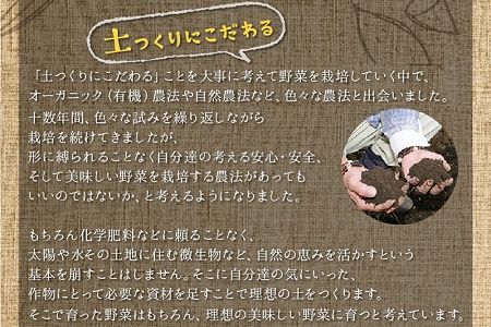 004-04 酵素栽培人参ジュース720ml×2本