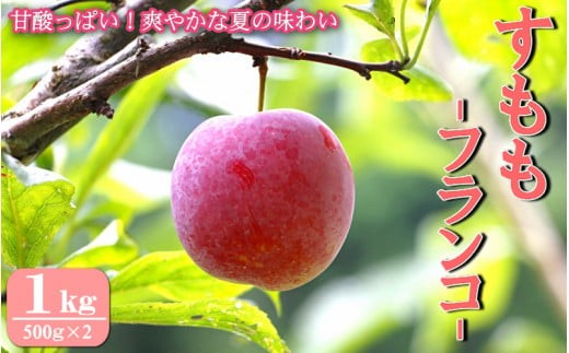 
                  先行予約 すもも（フランコ）1kg ※6月中旬～7月中旬頃に順次発送予定【期間限定・2027/6/20まで】 / スモモ お取り寄せ 期間限定 夏 フルーツ 果物 サンタローザ 和歌山県 田辺市【mtm008-1】
                