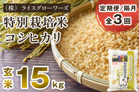 【令和8年産新米先行予約】【定期便3回隔月お届け】新潟県加茂市産 特別栽培米コシヒカリ 玄米15kg（5kg×3）《10月上旬～順次出荷》 従来品種コシヒカリ （株）ライスグローワーズ