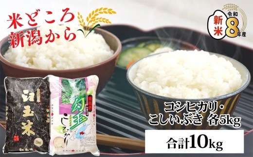 【令和8年産新米】新潟県産『コシヒカリ』5kg『こしいぶき』5kgのセット 合計10kg 糸魚川産 美味しいお米の食べ比べ 白米 木島米穀店 2026年産【米 お米 コメ こしひかり コシイブキ ブランド米 ご飯 ライス ふるさと納税米 お弁当 おにぎり 精米 食品 食品 おすすめ 人気 新潟県 糸魚川市】