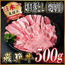 【ふるさと納税】飛騨牛　訳あり切り落とし焼肉　500g　【配送不可地域：離島】【1487352】