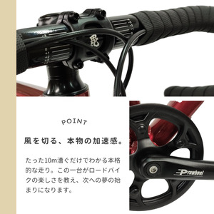 毘沙バイク TAMON エントリーモデル アルミ ロードバイク BTA002 Mサイズ 165cm-180cm 自転車 完成車 ｸﾞﾛｽﾎﾜｲﾄ 規