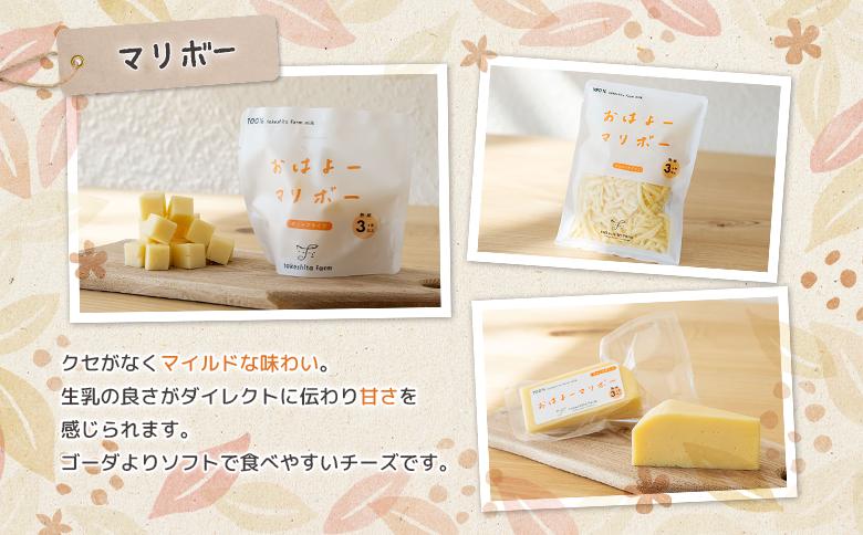 【ANA限定】竹下牧場 takeshita farm まるごとチーズセット 計1.1kg【24020】