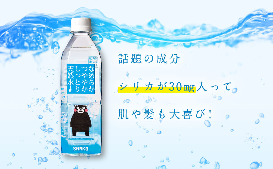 【12ヶ月定期便】なめらかつややかしっとり天然水 500mlPET 24本×2ケース 飲料 水