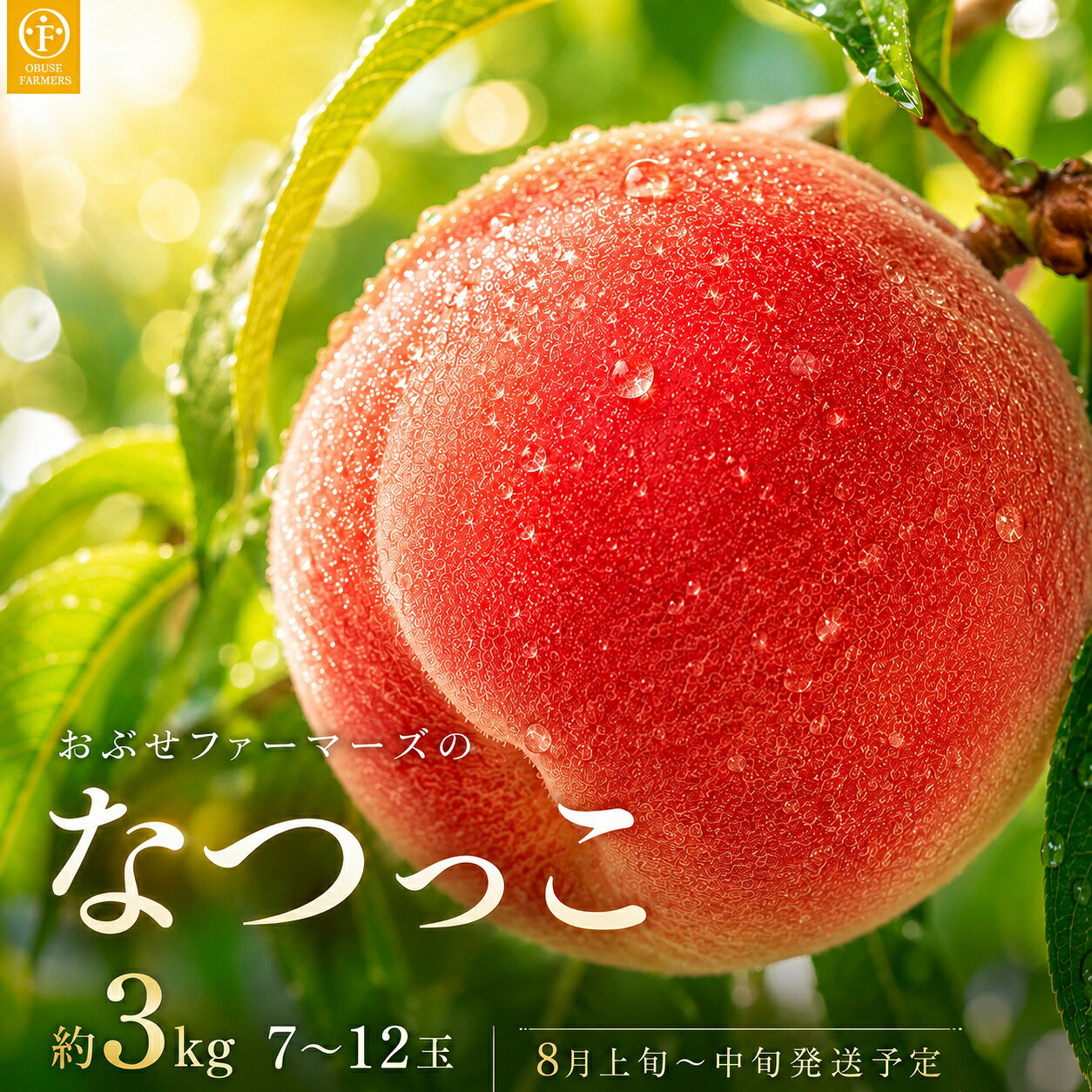 【ふるさと納税】 先行予約 なつっこ 約3kg 7～12玉 ［おぶせファーマーズ］桃 もも モモ ピーチ フルーツ 果物 先行予約 長野県産 信州産 クール便 冷蔵便 産地 直送 お取り寄せ 産地直送 数量限定 送料無料 令和8年産【2026年8月上旬〜中旬発送】