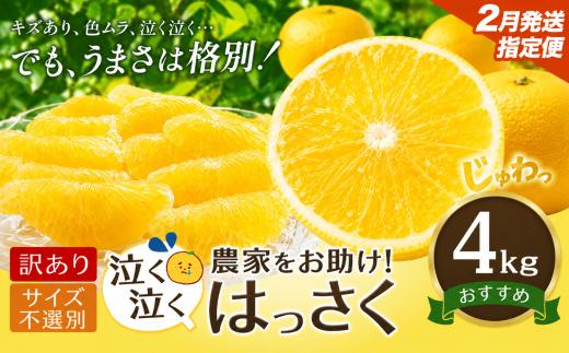 【2月中旬発送】八朔 はっさく 訳あり サイズ不選別 4kg 八朔 柑橘 果物 フルーツ 柑橘類 規格外 傷あり 送料無料 徳島県 美馬市