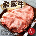 【ふるさと納税】5等級 飛騨牛霜降り しゃぶしゃぶ 500g × 2 計1kg 牛肉 和牛 リブロース カタロース [Q1027_sha_1] 80000円 8万円