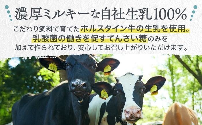 オオヤブデイリーファーム くまもと半熟よーぐるちょ 350g×5個セット ヨーグルト