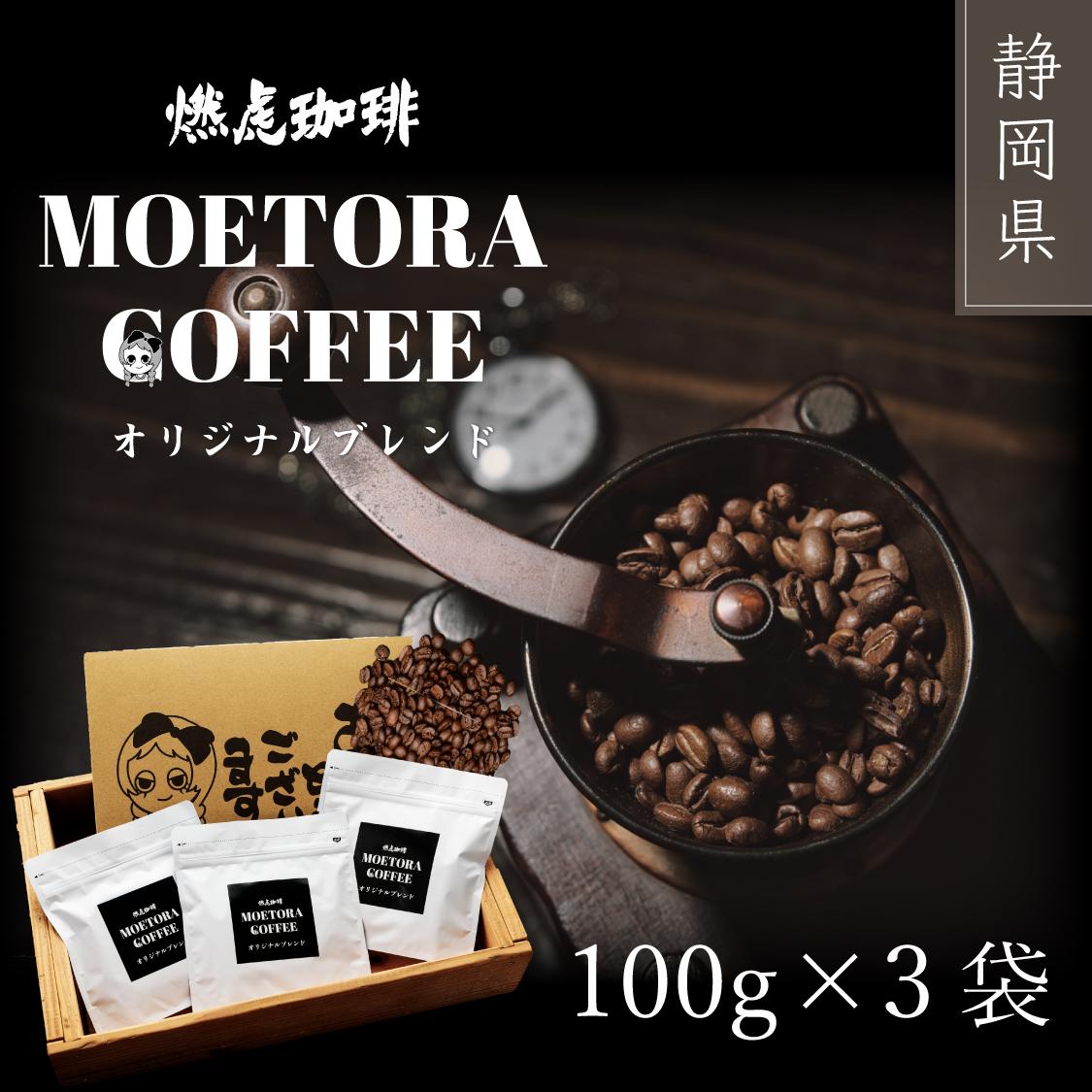 【ふるさと納税】燃虎珈琲オリジナルブレンド　100g×3袋セット□