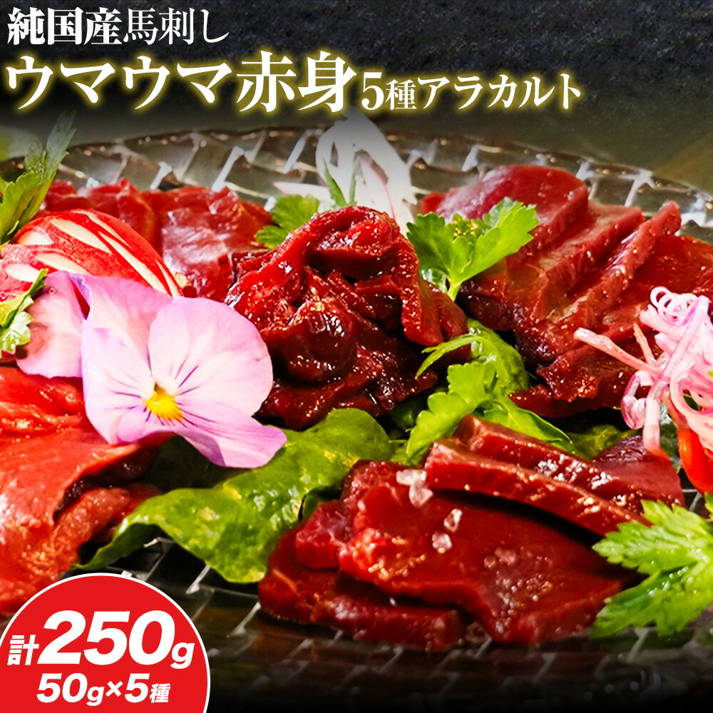 【ふるさと納税】馬刺し 純国産 ウマウマ 赤身 5種 アラカルト 専用醤油付き 50g ×5種 計250g 有限会社九州食肉産業《30日以内に出荷予定(土日祝除く)》熊本県 産山村 純国産 馬刺し 国産 赤身 熊本肥育 馬刺 馬肉 詰め合わせ 贈答用 ギフト お中元 お歳暮 送料無料