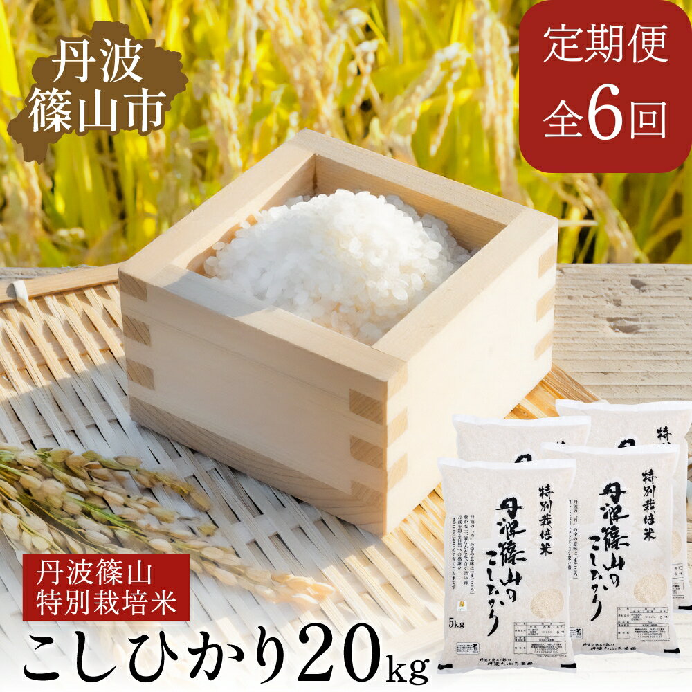 【ふるさと納税】【定期便】※令和7年　新米予約※特Aランク特別栽培米　コシヒカリ　20kg（全6回） 兵庫県 丹波篠山市 白米 100％単一原料米 産地直送米 贈答 おいしい お米 精米 ブランド おこめ 健康 ギフト 内祝い 贈り物 送料無料 おすすめ 人気 口コミ