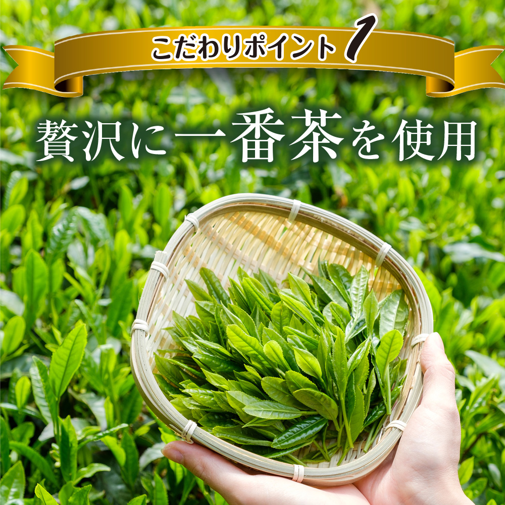 【 機能性表示食品 】 茶匠庵 緑茶ペットボトル 500ml×48本 日付指定不可 静岡県 牧之原市 いなば園
