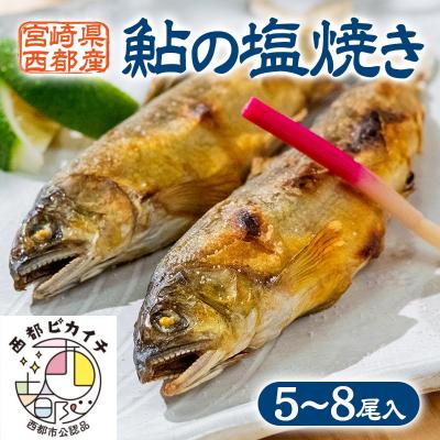 ふるさと納税 西都市 鮎の塩焼き(冷凍) 宮崎県西都市産鮎[2746] | 