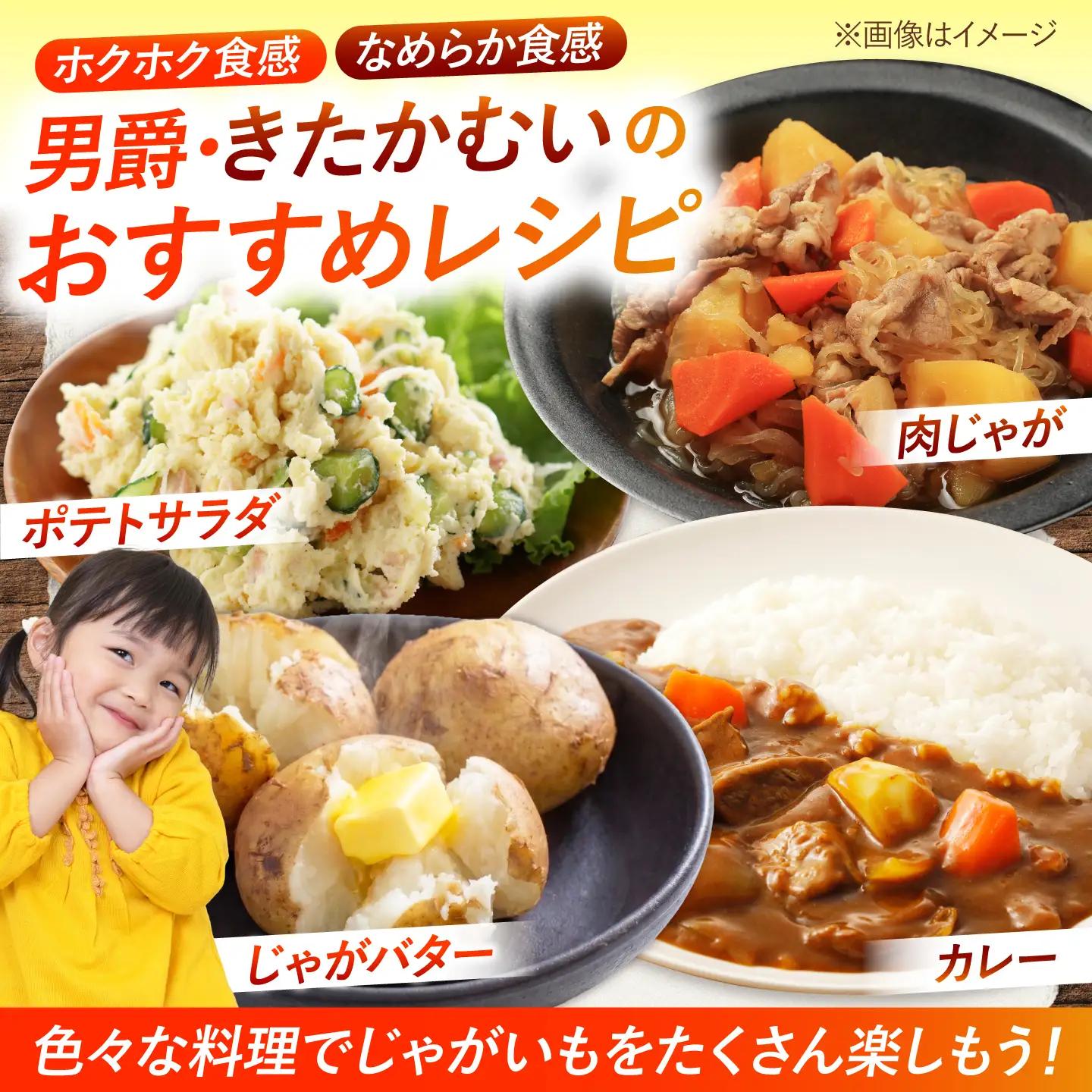 【2027年1月上旬以降順次発送】 じゃがいも 食べ比べセット（男爵・きたかむい）計10kg （5kg×2種） | じゃがいも ジャガイモ 男爵芋 きたかむい 北海道 産地直送 セット 先行予約 | 