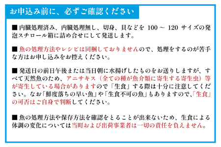 『キンキ入り』漁協厳選！鮮魚お楽しみBOX※不在日・日付指定対応不可※[02-830]