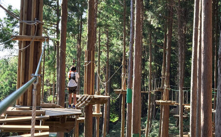 家族みんなで楽しめるコース！キャノピーコース ペアチケット (2名様) / 自然 アウトドア アクティビティ 体験 / 大村市 / フォレストアドベンチャー[ACCH001]