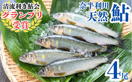 
107001　奈半利川の友釣り天然アユ（冷凍）４尾
