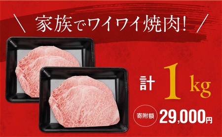 宮崎牛ロースステーキ4枚 計1000g_29-N201_(都城市) 宮崎県産 宮崎牛 ロースステーキ 1000g