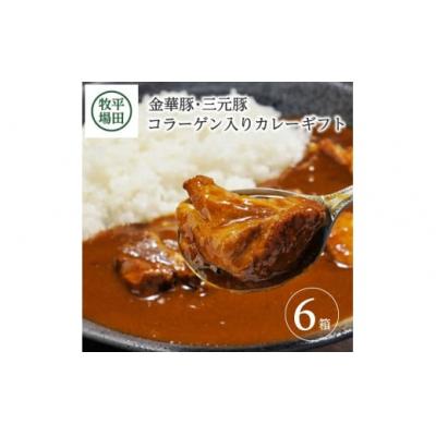 ふるさと納税 酒田市 【平田牧場】日本の米育ち◆金華豚・三元豚コラーゲン入りカレーギフト