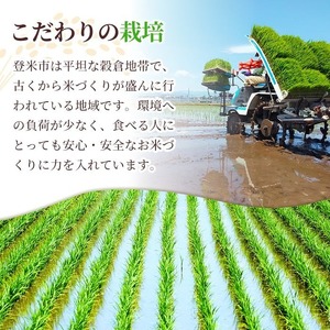 ＜先行予約！2025年10月以降順次発送予定＞≪令和7年産 新米≫ ササニシキ 玄米 30kg 登米市産 お米 おこめ 米 コメ ささにしき ご飯 ごはん おにぎり お弁当 【登米ライスサービス株式会