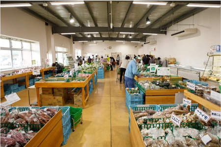 【 特別栽培米 】R7年産 北上産 お米 100％ 精米したての しらゆり米 ( ひとめぼれ ) 4kg 小分け ( 2kg ×2袋 ) 国産 岩手県 北上市 D0557 JA 産直 あぜみち 米 コ