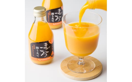 M083　まごころ搾りたて有田産不知火ジュース１８０ｍｌ　１２本入