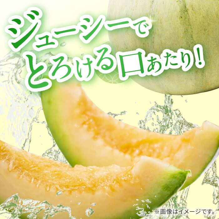 【2025年4月下旬～発送】【根強い人気!】 訳あり プリンスメロン 3箱セット（傷もの）/ メロン めろん フルーツ 果物 / 南島原市 / 南島原果物屋 [SCV023]_イメージ3