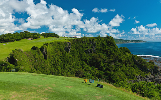 【ザ・サザンリンクスリゾート】 ゴルフ利用クーポン3.000円分 - 旅行 沖縄旅行 リゾートゴルフ 利用券 ゴルフ場利用券 リゾート クーポン券 沖縄県 八重瀬町 利用クーポン 3,000円分