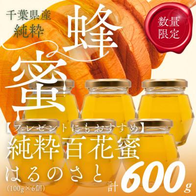 ふるさと納税 大網白里市 【数量限定】大網白里育ちの「純粋はちみつ」はるのさと(百花蜜)100g6個