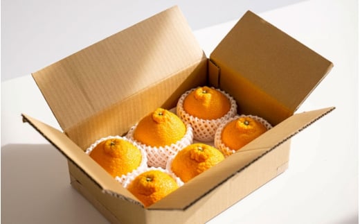 【先行予約】【数量わずか】樹上完熟しらぬい（不知火） 約2kg(6個) 秀品 2026年2月末～2026年4月中頃に順次発送予定（お届け日指定不可）/ 和歌山 みかん しらぬい 不知火 フルーツ 柑橘