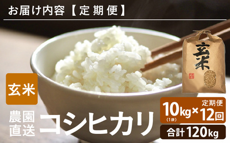 【先行予約】【令和8年産・新米】【農家直送定期便 12ヶ月コース】【玄米】 本原農園のまごころコメた 福井県産 コシヒカリ 10kg × 12回 計120kg 【2026年10月上旬以降順次発送】 [