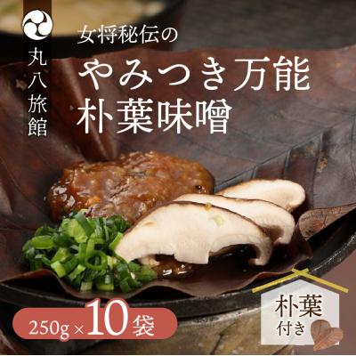 ふるさと納税 下呂市 やみつき万能【朴葉味噌】(250g)×10袋　料理自慢の宿 女将秘伝の味噌　丸八旅館【53-17】