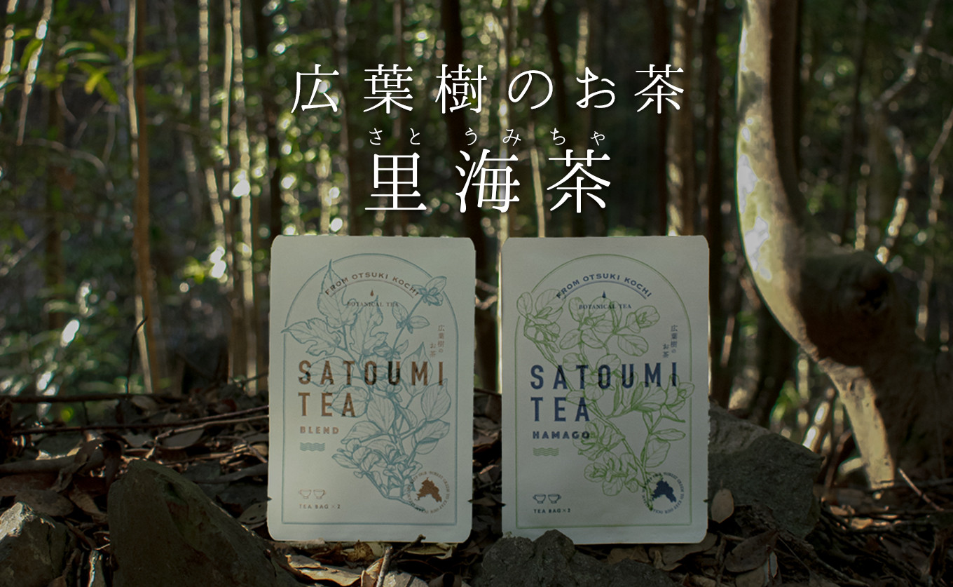 
【高知県 大月町産】広葉樹のお茶“里海茶”
