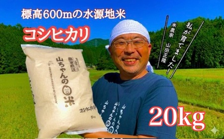 令和7年度産 農家直送「山ちゃんのお米」コシヒカリ20kg